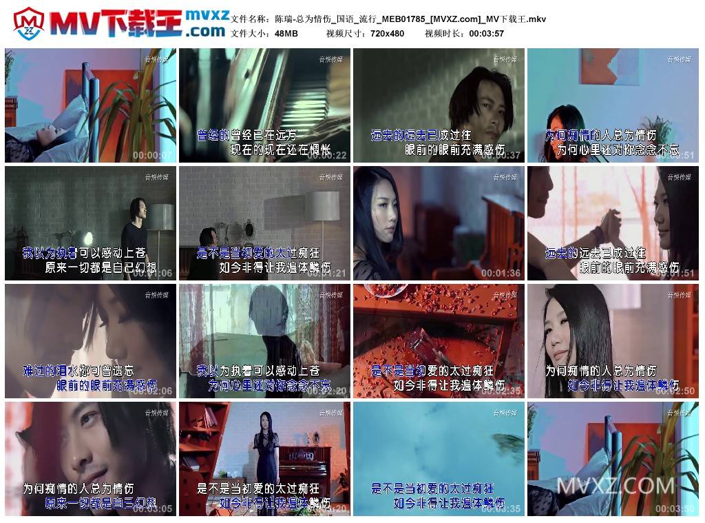 陈瑞-总为情伤_国语_流行_MEB01785